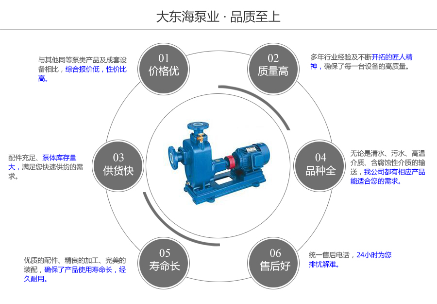 大東海泵業(yè)自吸式無(wú)堵塞排污泵質(zhì)量保證圖