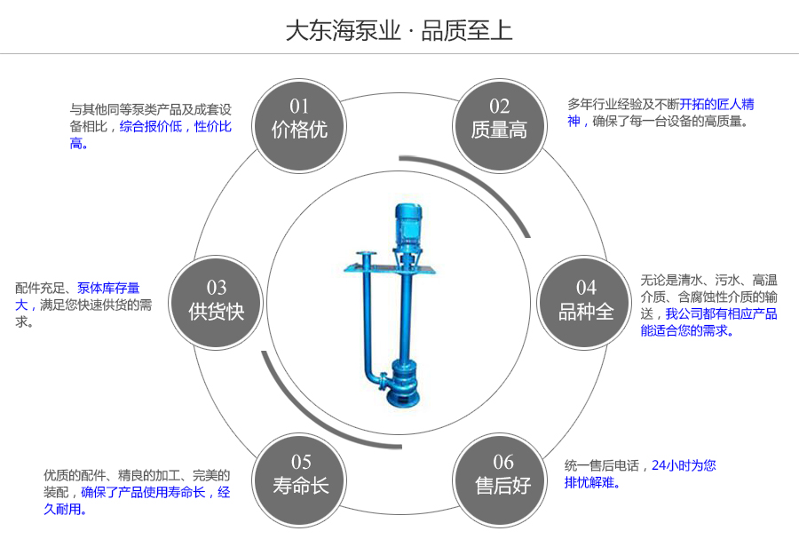 大東海泵業(yè)液下排污泵質(zhì)量保證圖